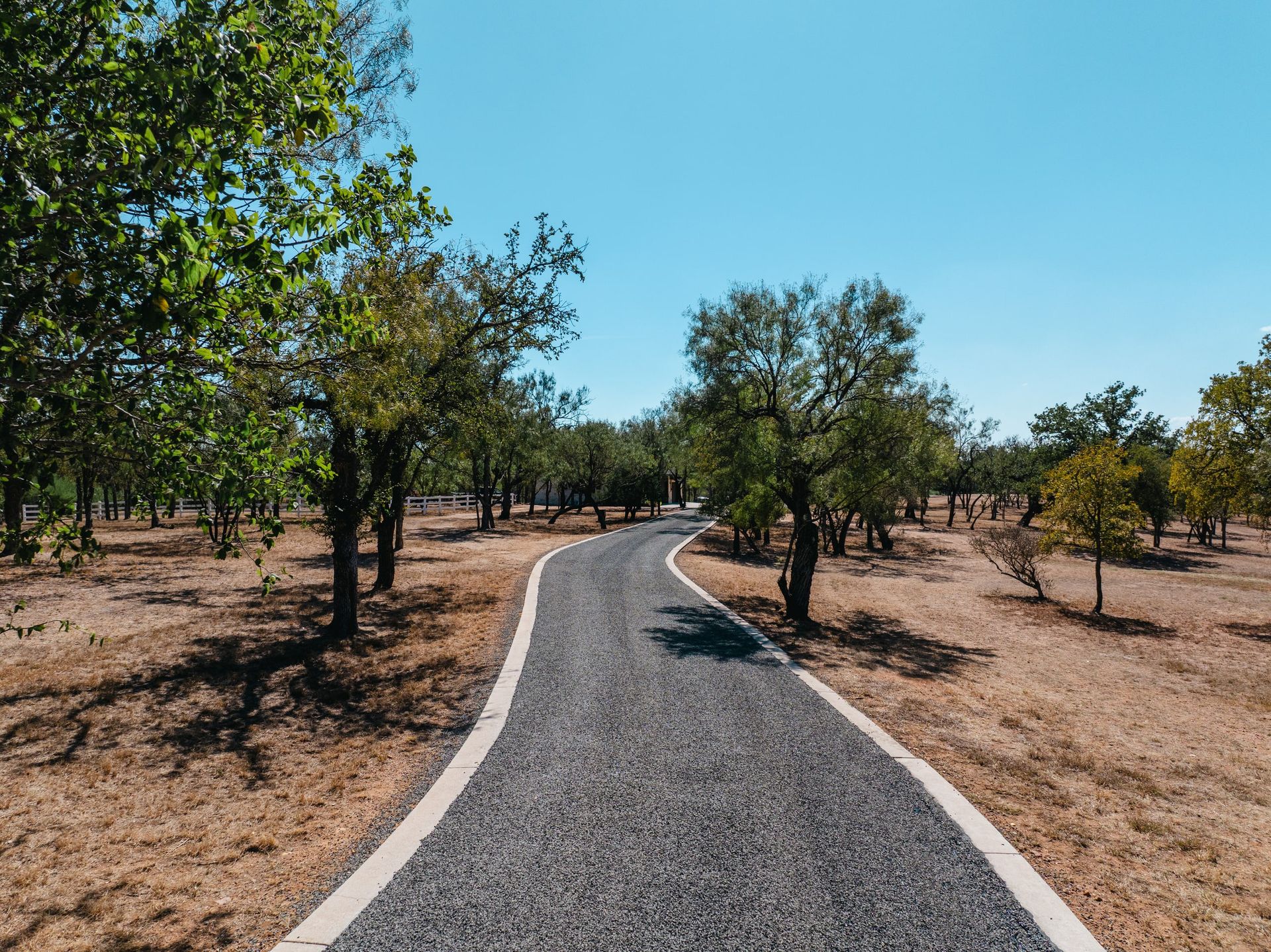 Finished chip-seal road extending through mature trees