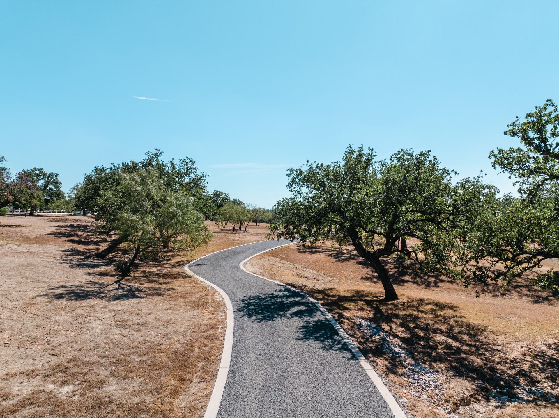 Finished chip-seal road curving beneath mature trees