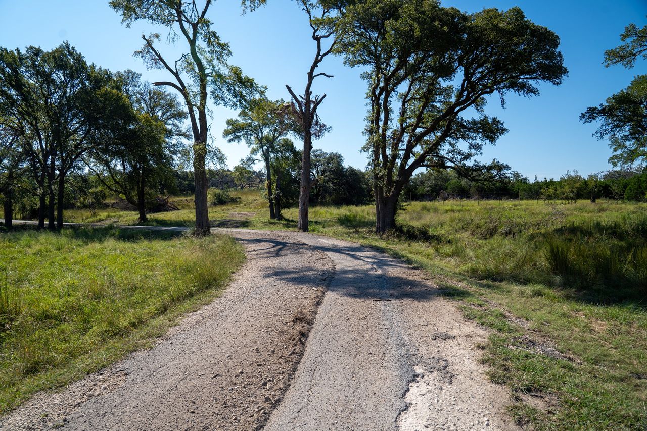 Worn and rutted surface on a tree-lined rural road