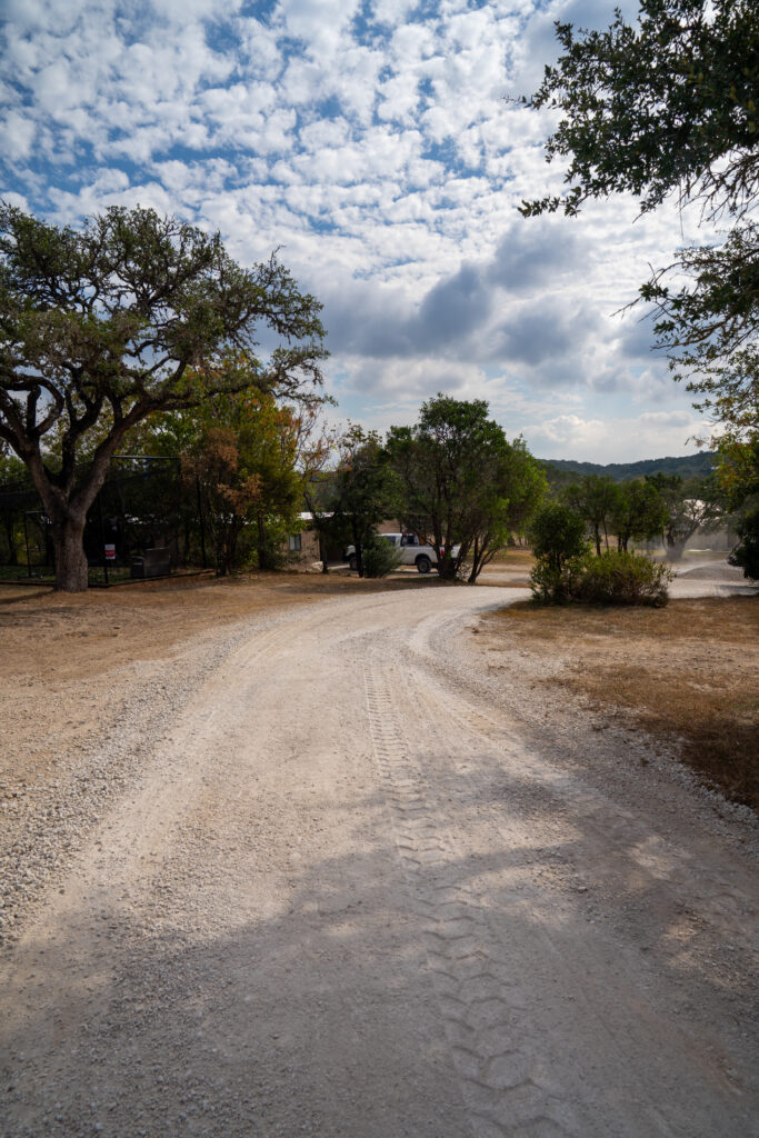 A rural unpaved gravel driveway with tire tracks winding through scattered trees and vegetation under a partly cloudy sky.