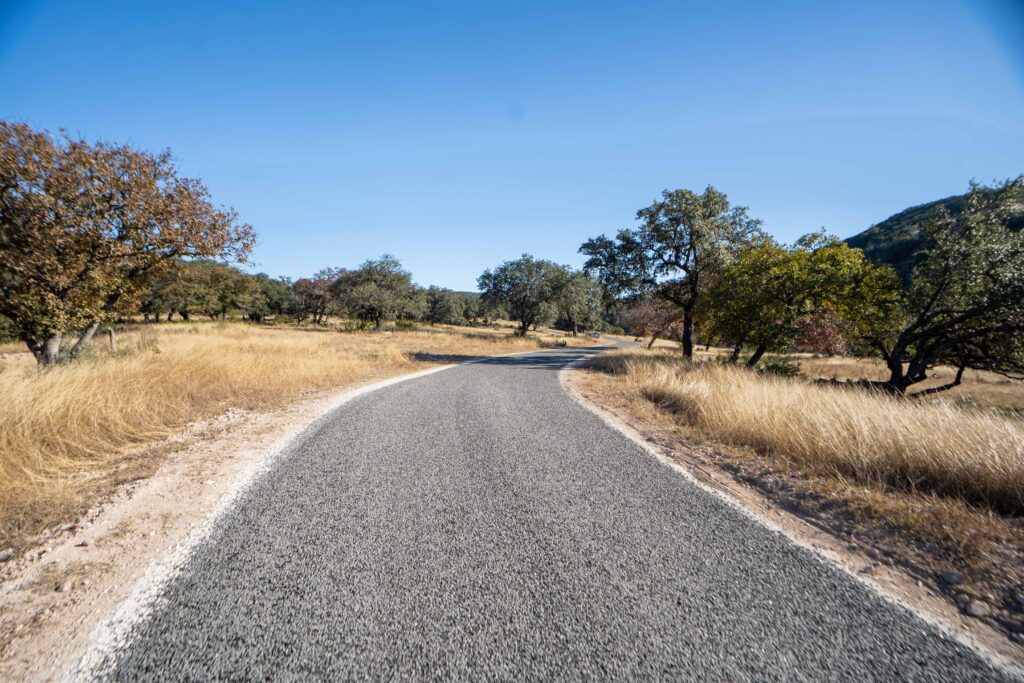A freshly paved asphalt road curves through a dry, tree-dotted landscape with golden grassland and hills in the background under clear blue sky.